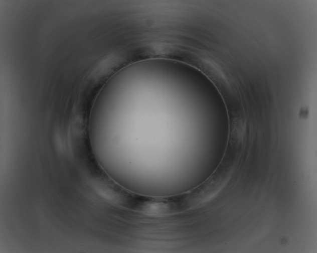 X0000096690220200802051354