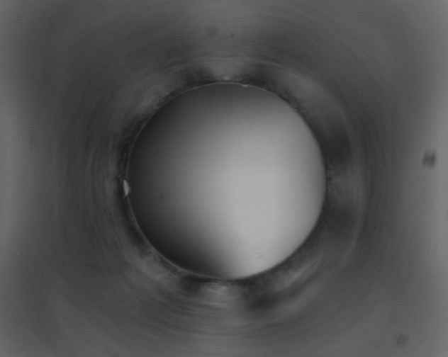 X0000096690221200802051354