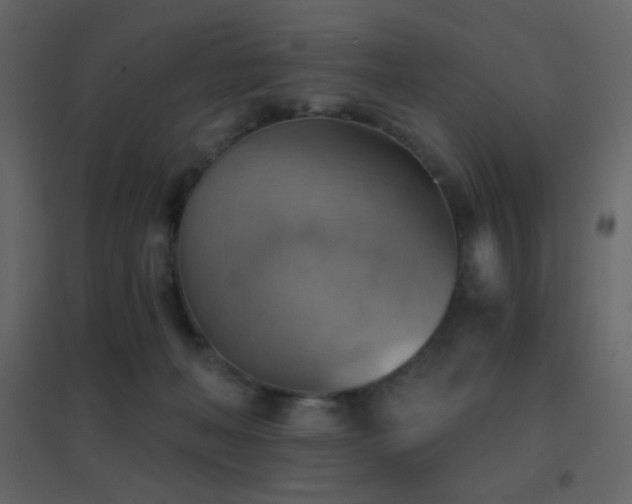 X0000096690222200802051354