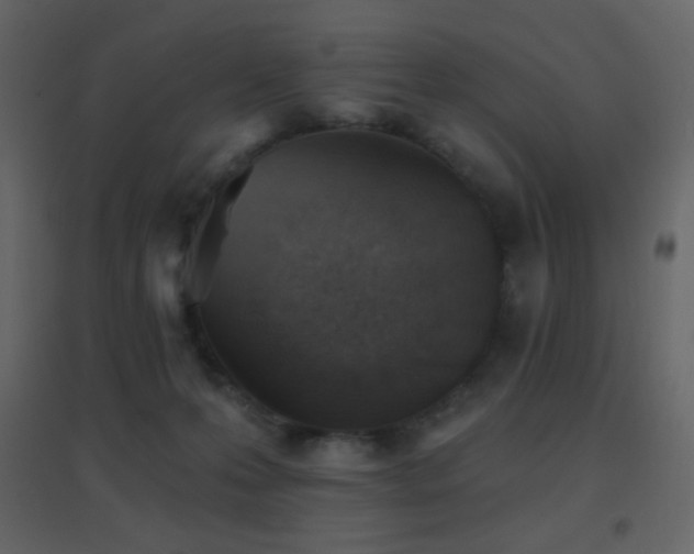 X0000096690223200802051354