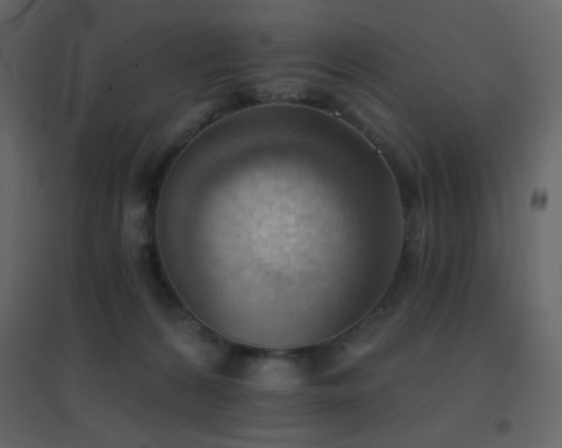 X0000096690224200802051354