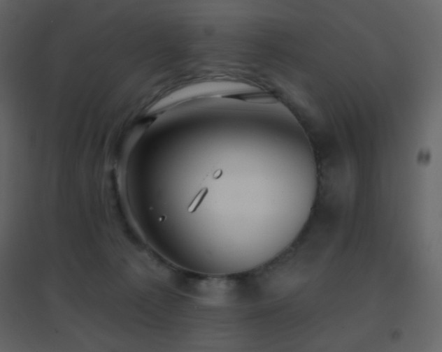 X0000096690225200802051354