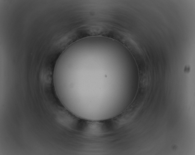 X0000096690226200802051354