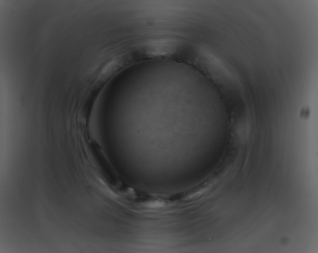 X0000096690227200802051354