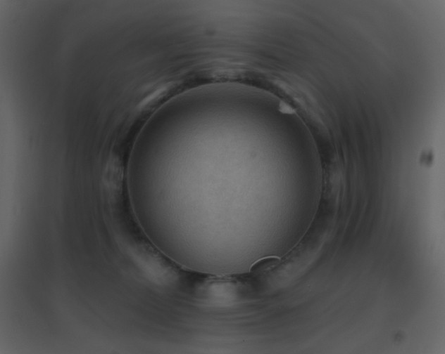 X0000096690228200802051354