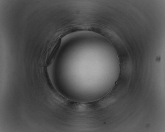 X0000096690229200802051354