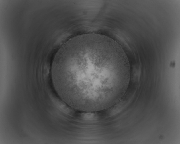 X0000096690230200802051354