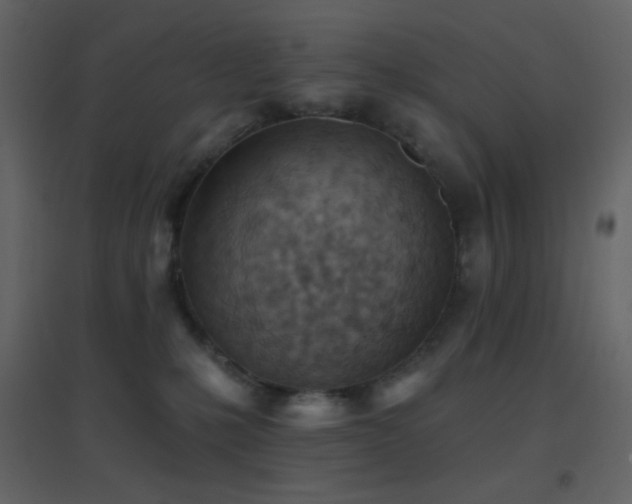 X0000096690231200802051354