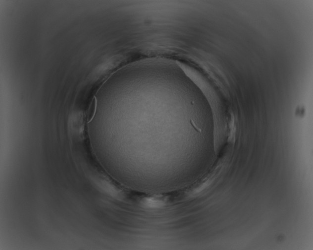 X0000096690232200802051354