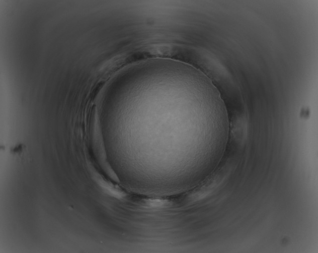 X0000096690233200802051354