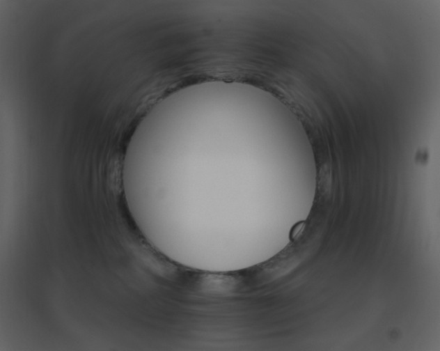 X0000096690234200802051354