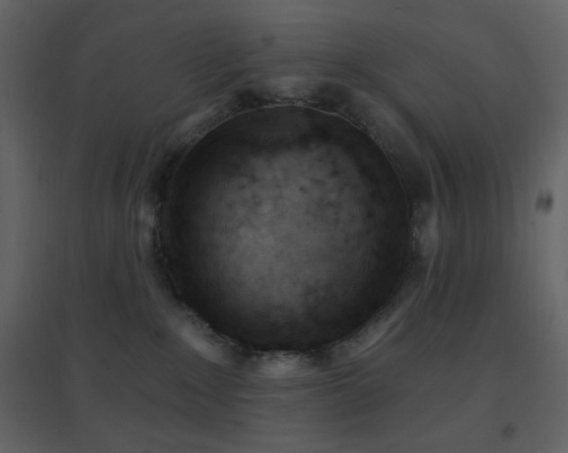 X0000096690235200802051354