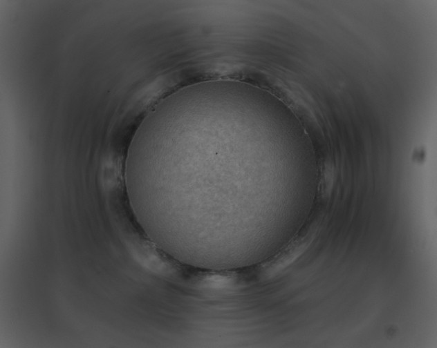 X0000096690236200802051354