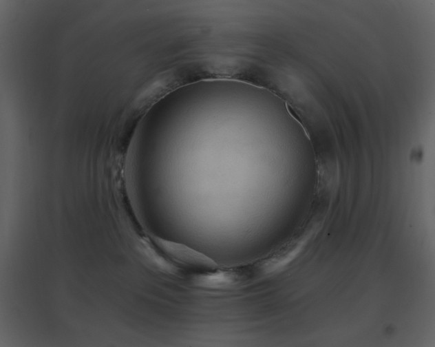 X0000096690237200802051354