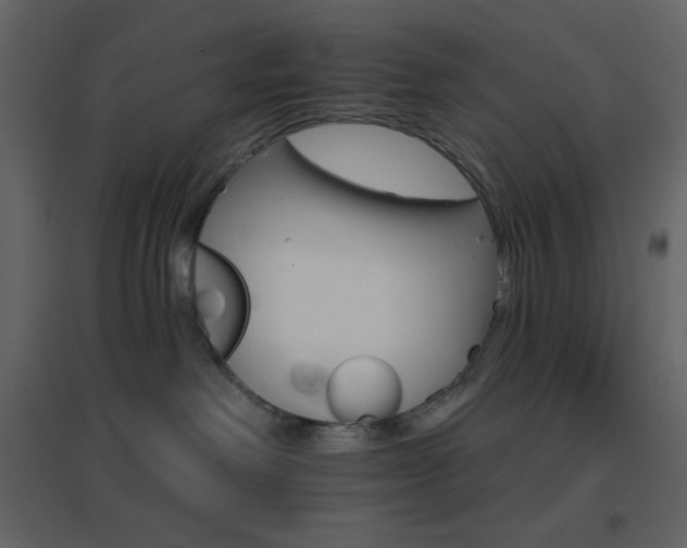 X0000096690238200802051354