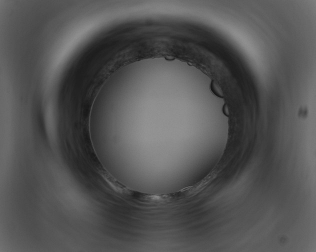 X0000096690239200802051354