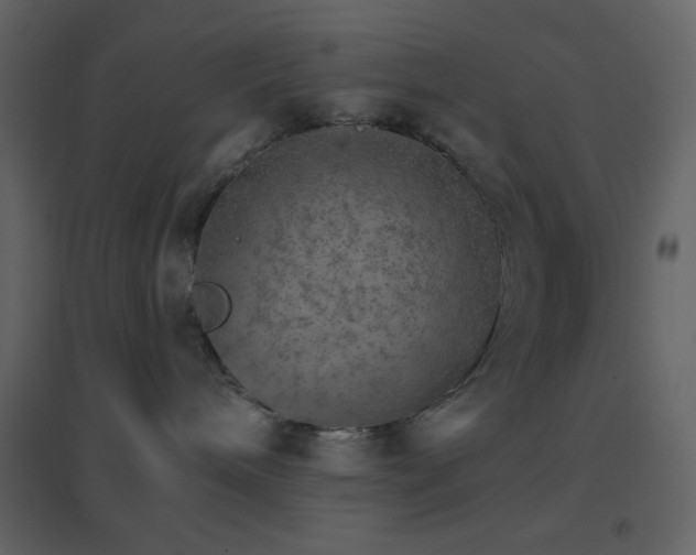 X0000096690240200802051354