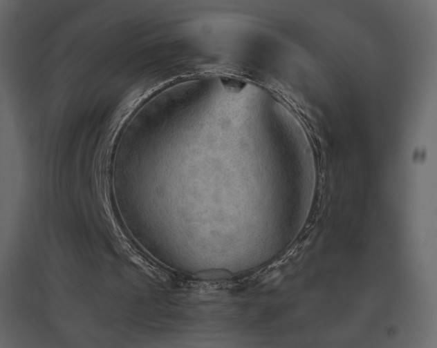 X0000096690241200802051353