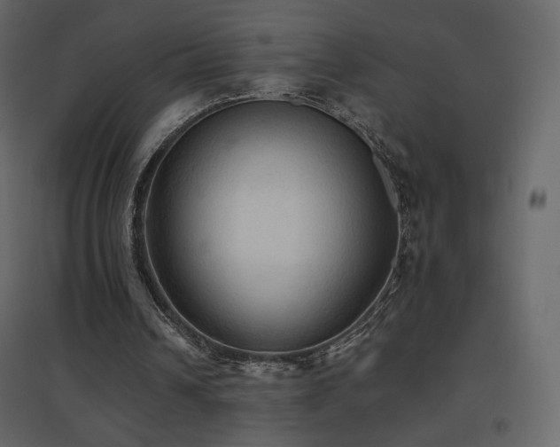 X0000096690242200802051353