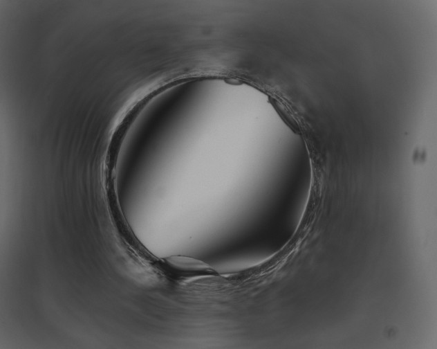 X0000096690244200802051353