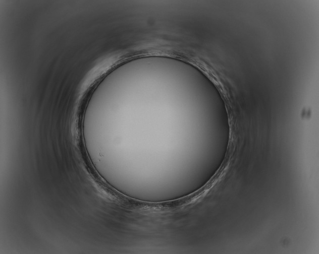 X0000096690245200802051353