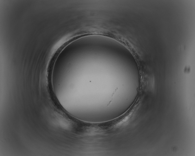 X0000096690246200802051353