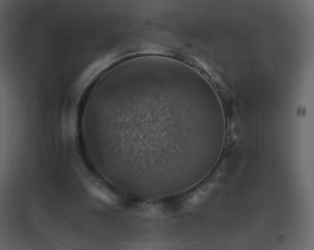 X0000096690247200802051353