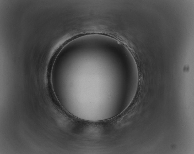 X0000096690248200802051353