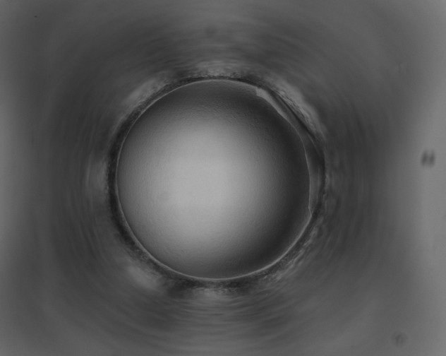 X0000096690250200802051353