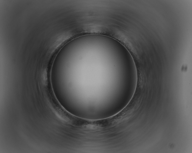 X0000096690251200802051353