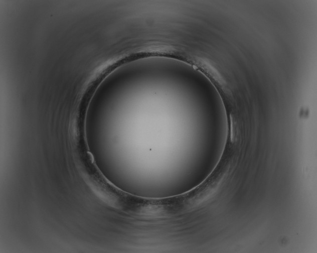 X0000096690252200802051353