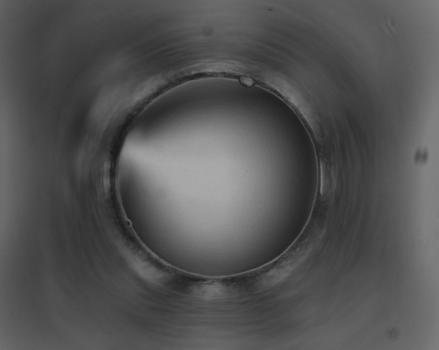 X0000096690253200802051353