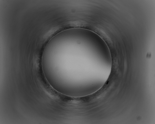 X0000096690255200802051353