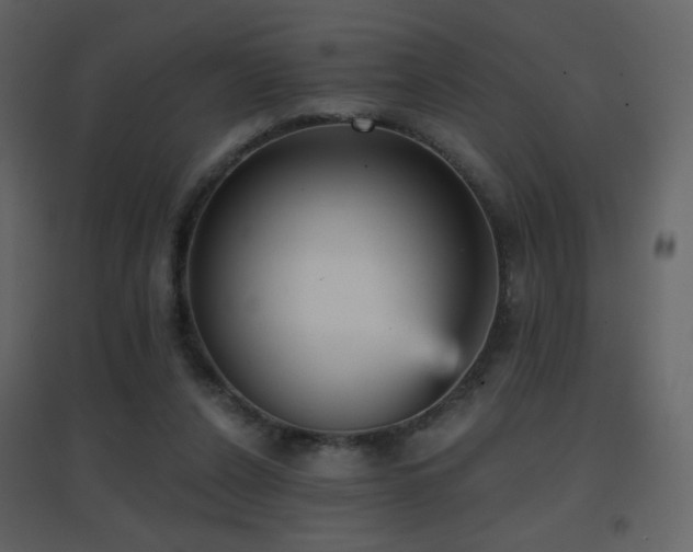 X0000096690256200802051353