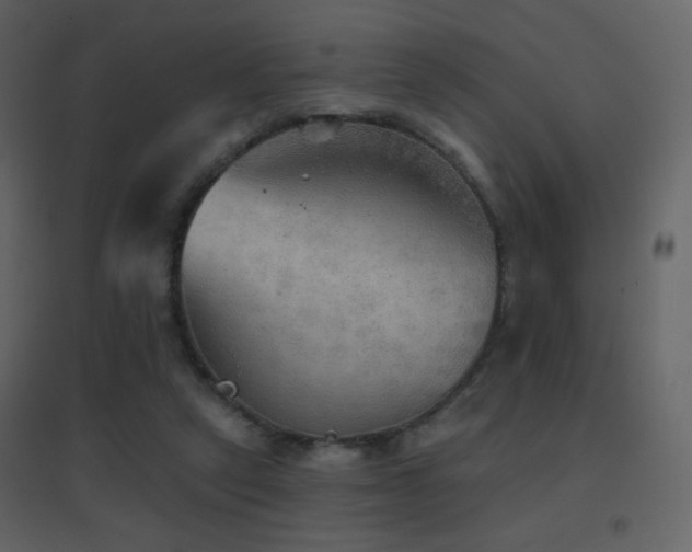 X0000096690257200802051353