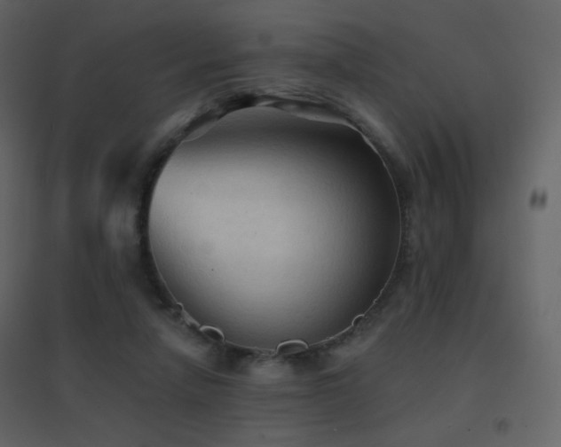 X0000096690258200802051353