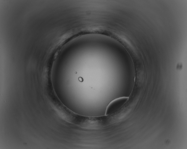 X0000096690260200802051353