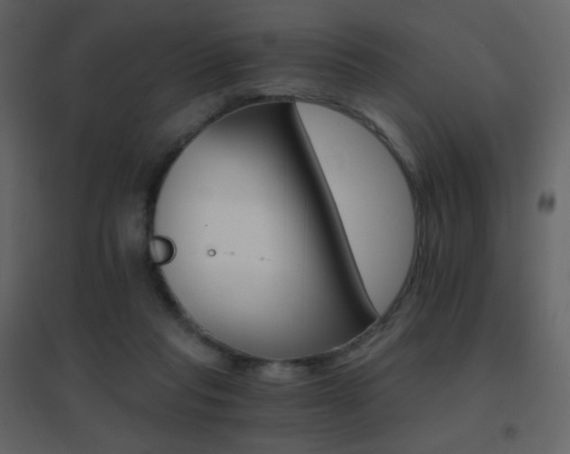 X0000096690261200802051353