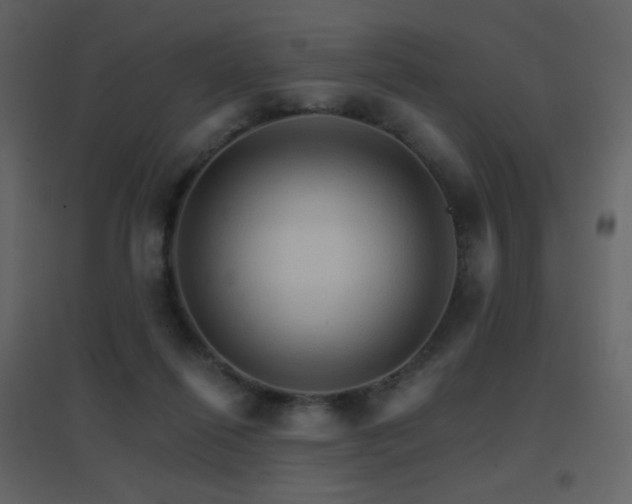 X0000096690262200802051353