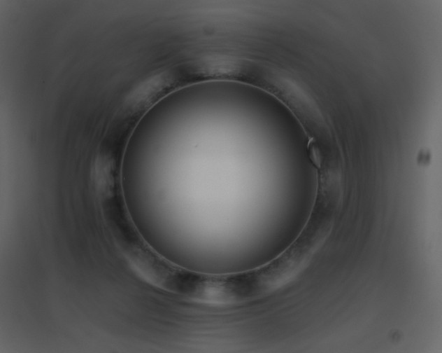 X0000096690264200802051353