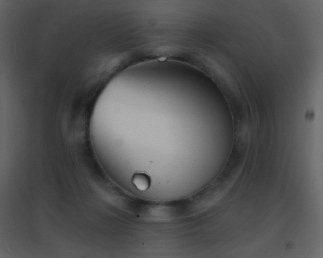 X0000096690268200802051353