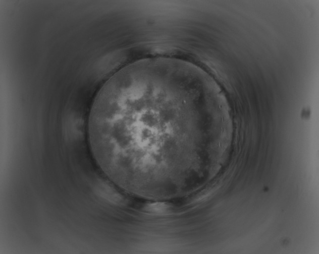 X0000096690269200802051353