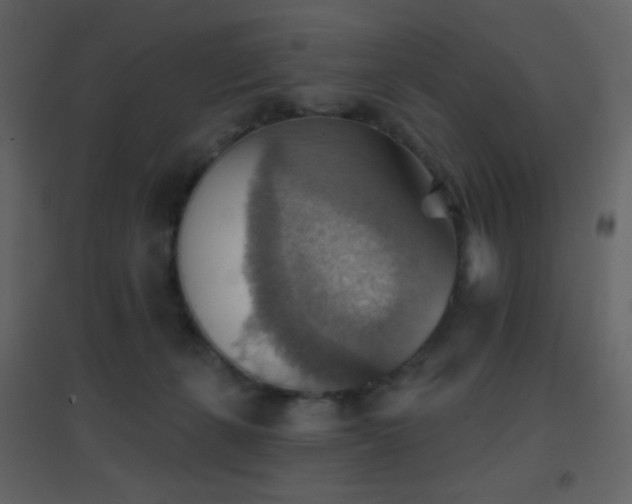 X0000096690271200802051354