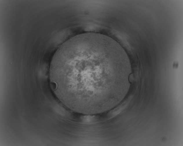 X0000096690273200802051354