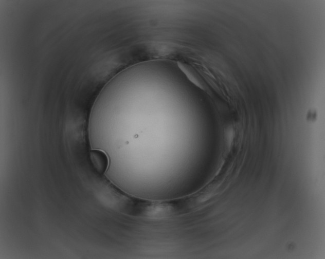 X0000096690274200802051354