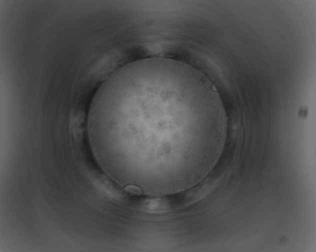 X0000096690275200802051354