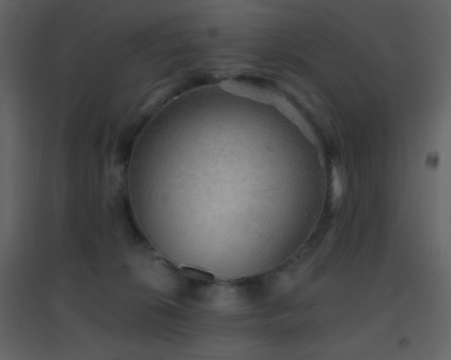 X0000096690276200802051354