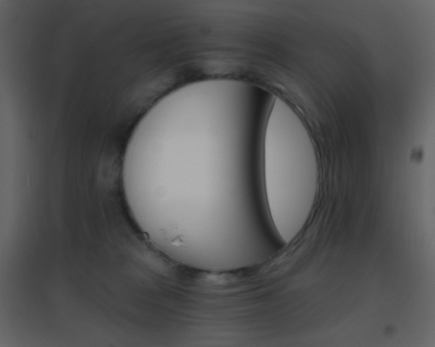 X0000096690277200802051354