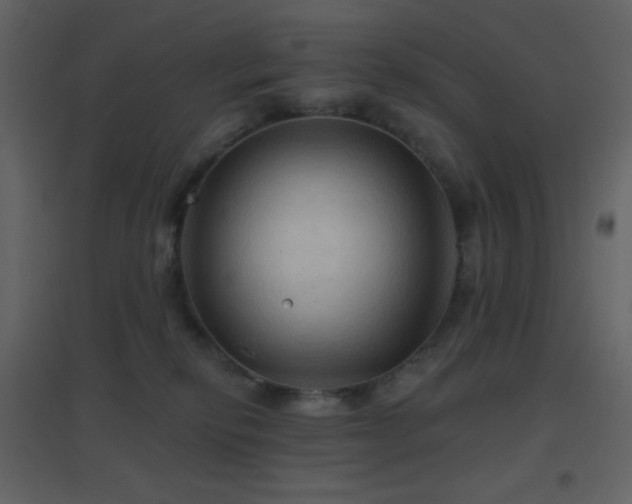 X0000096690278200802051354