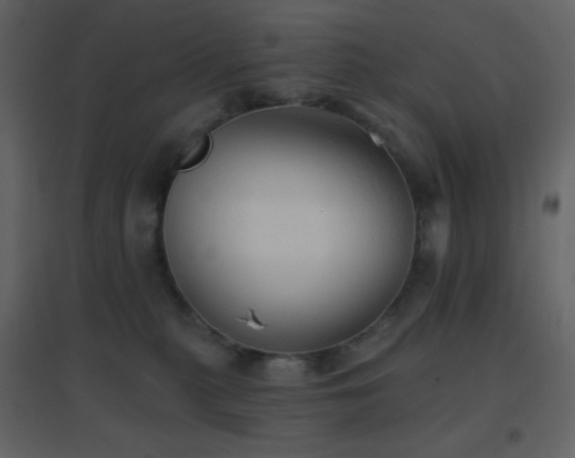 X0000096690279200802051354